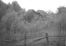 eika image
